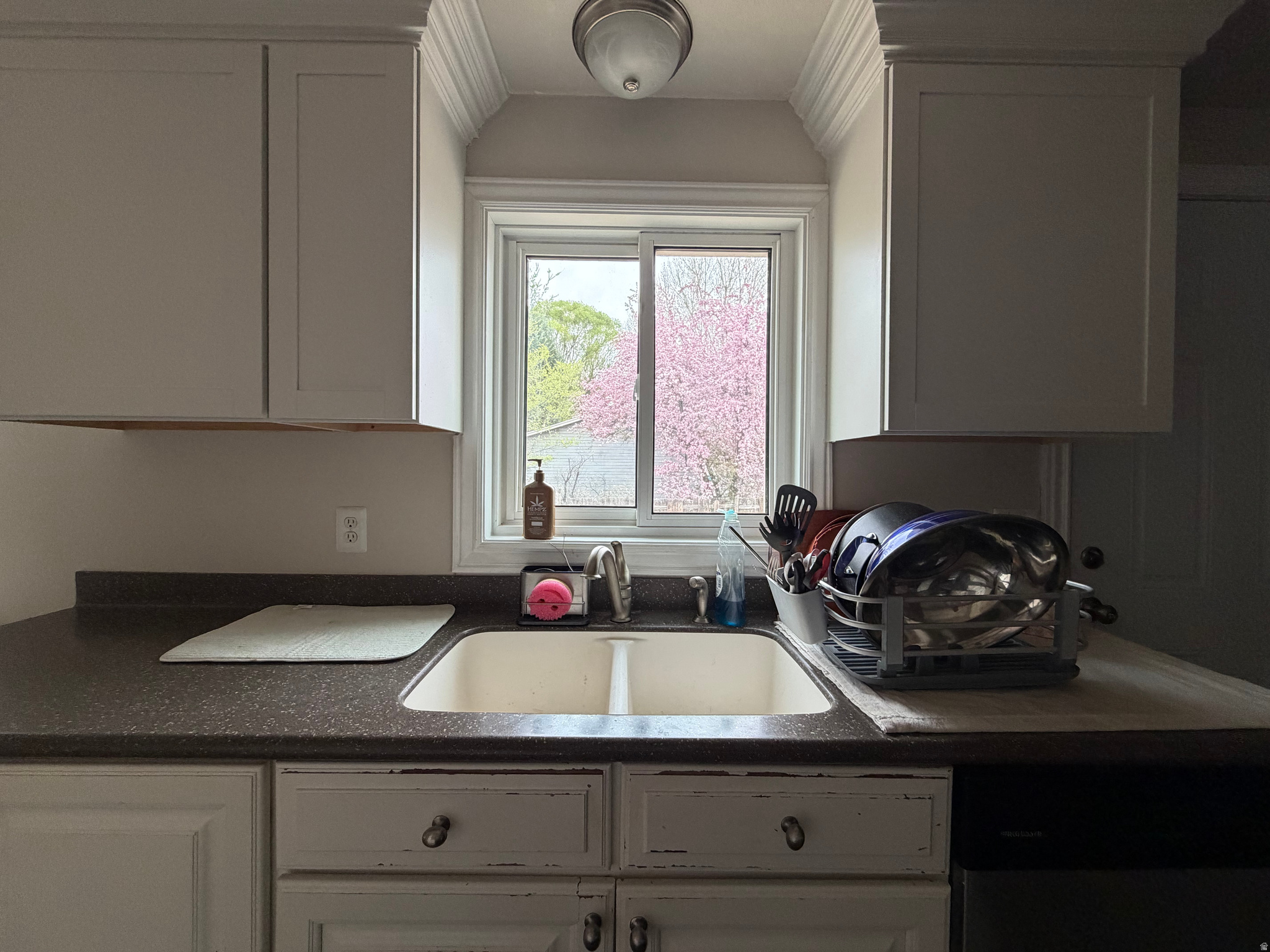 SUNNYVIEW EAST - Residential