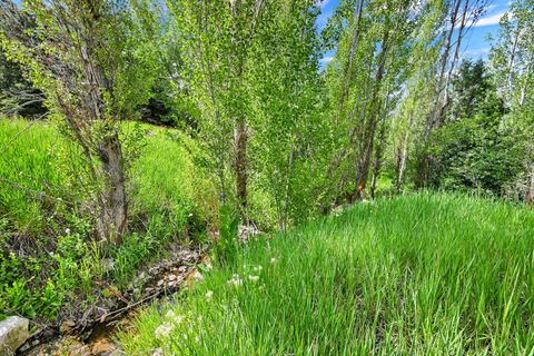 Tiny photo for 8975 E PINEVIEW DR, Huntsville, UT 84317 (MLS # 2159889)