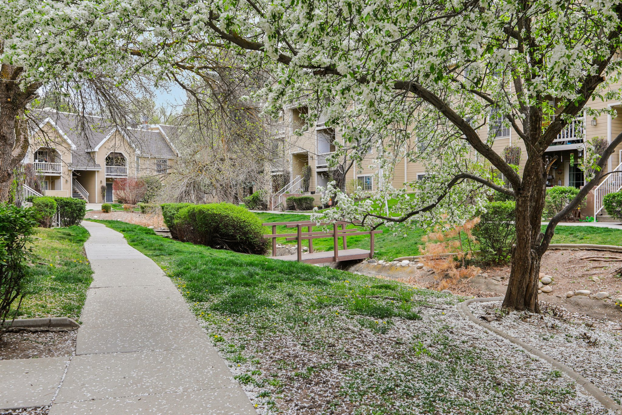 WATERSIDE COVE - Residential