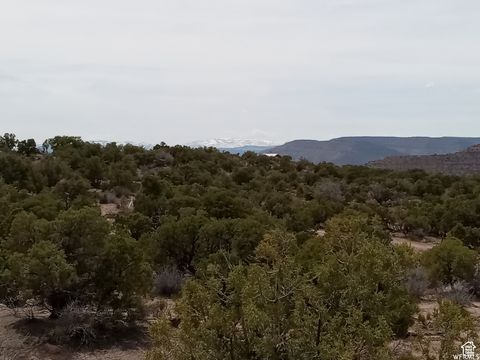 Vacant Land For Sale - Land<br/> Duchesne County, Talmage, UT 84073