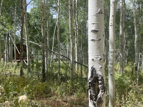 Tiny photo for 11485 E VIOLET WAY #1845, Heber City, UT 84032 (MLS # 2143681)