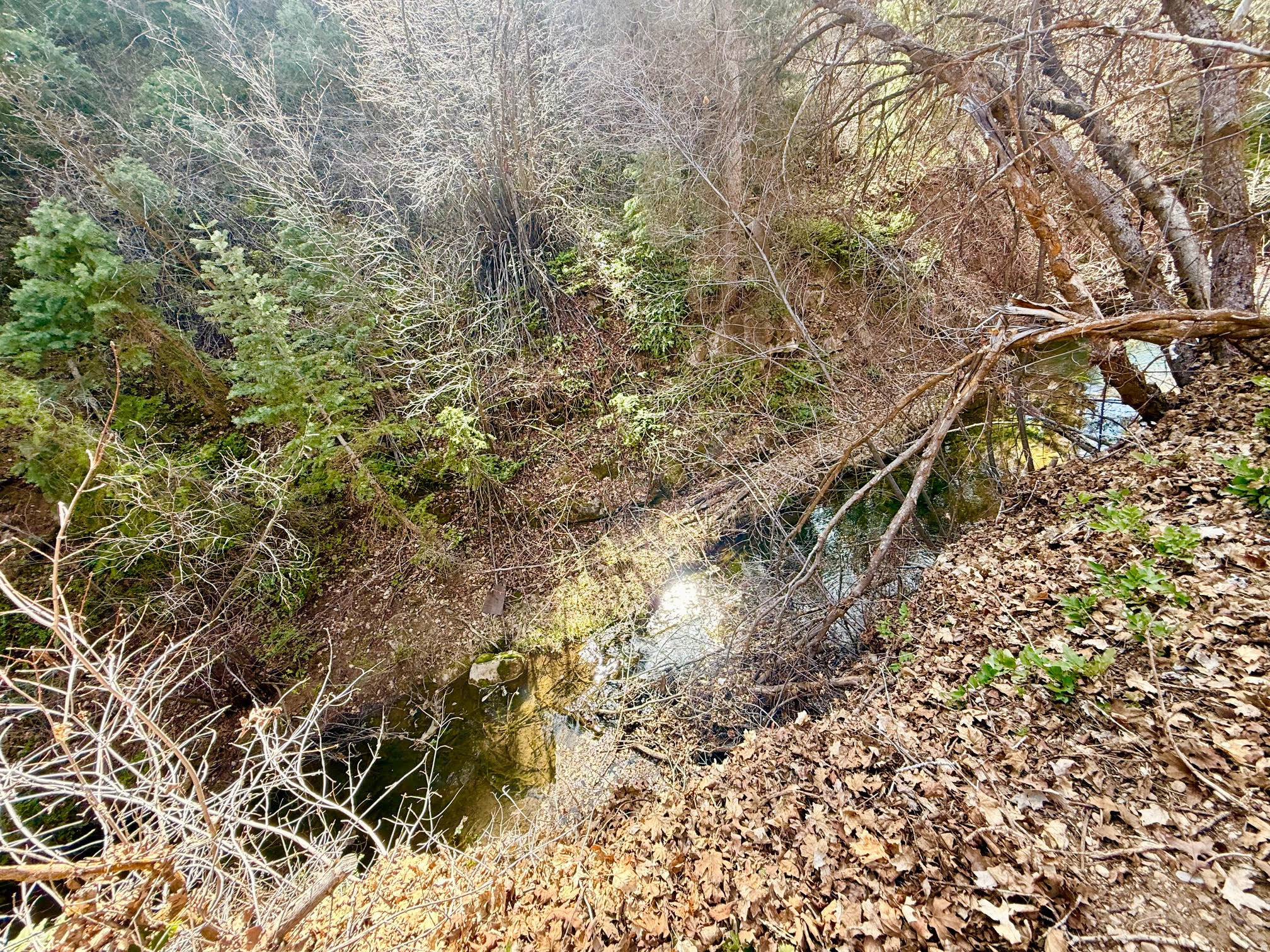 SKYLINE MOUNTAIN RESORT - Residential