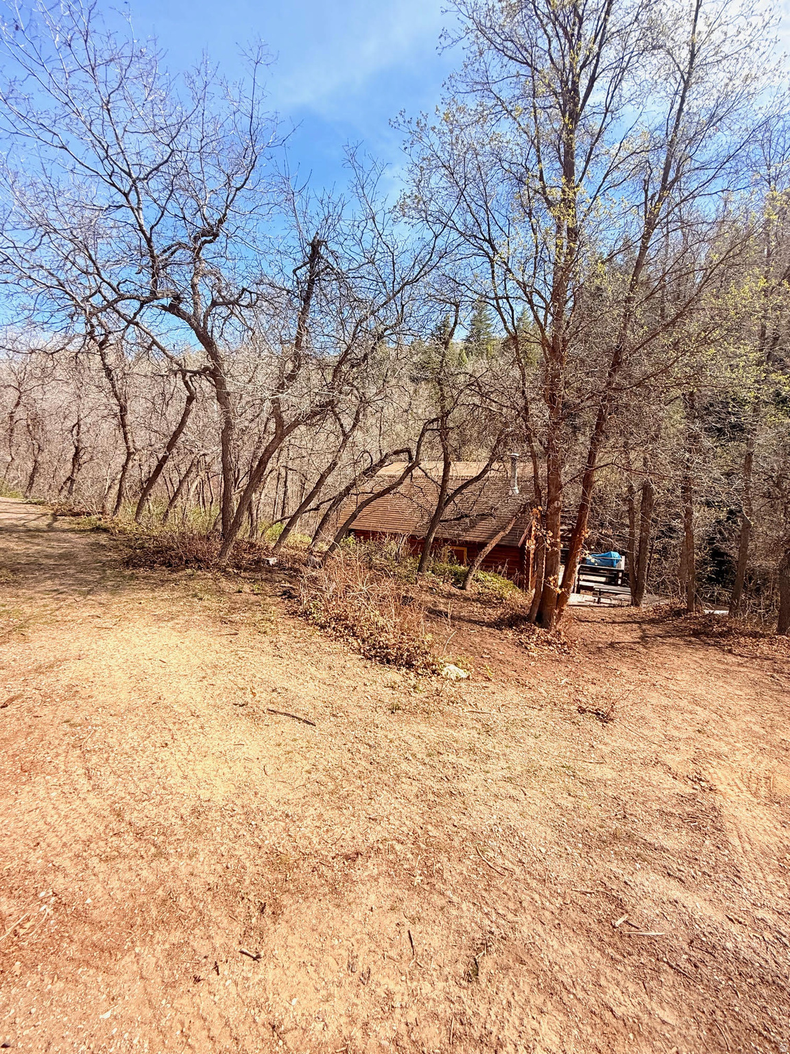 SKYLINE MOUNTAIN RESORT - Residential