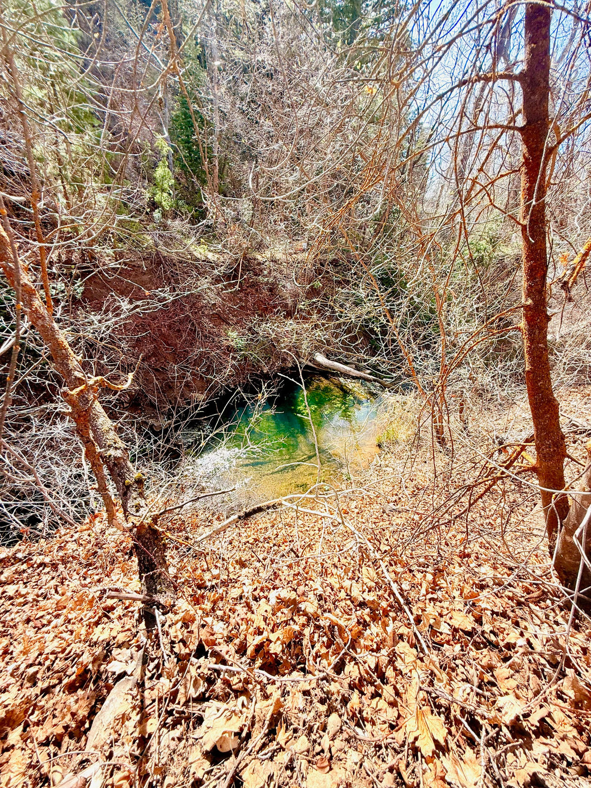 SKYLINE MOUNTAIN RESORT - Residential