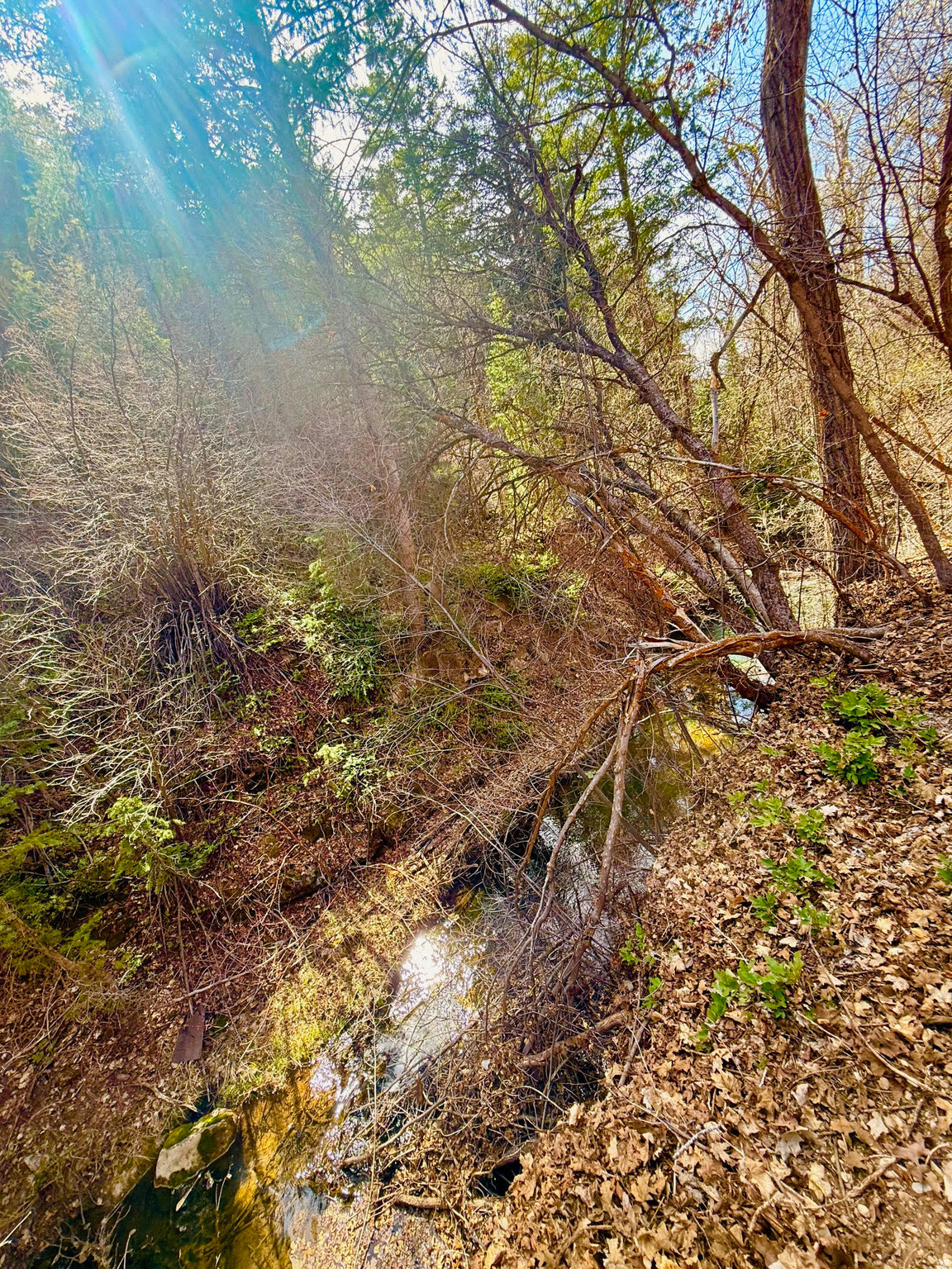 SKYLINE MOUNTAIN RESORT - Residential