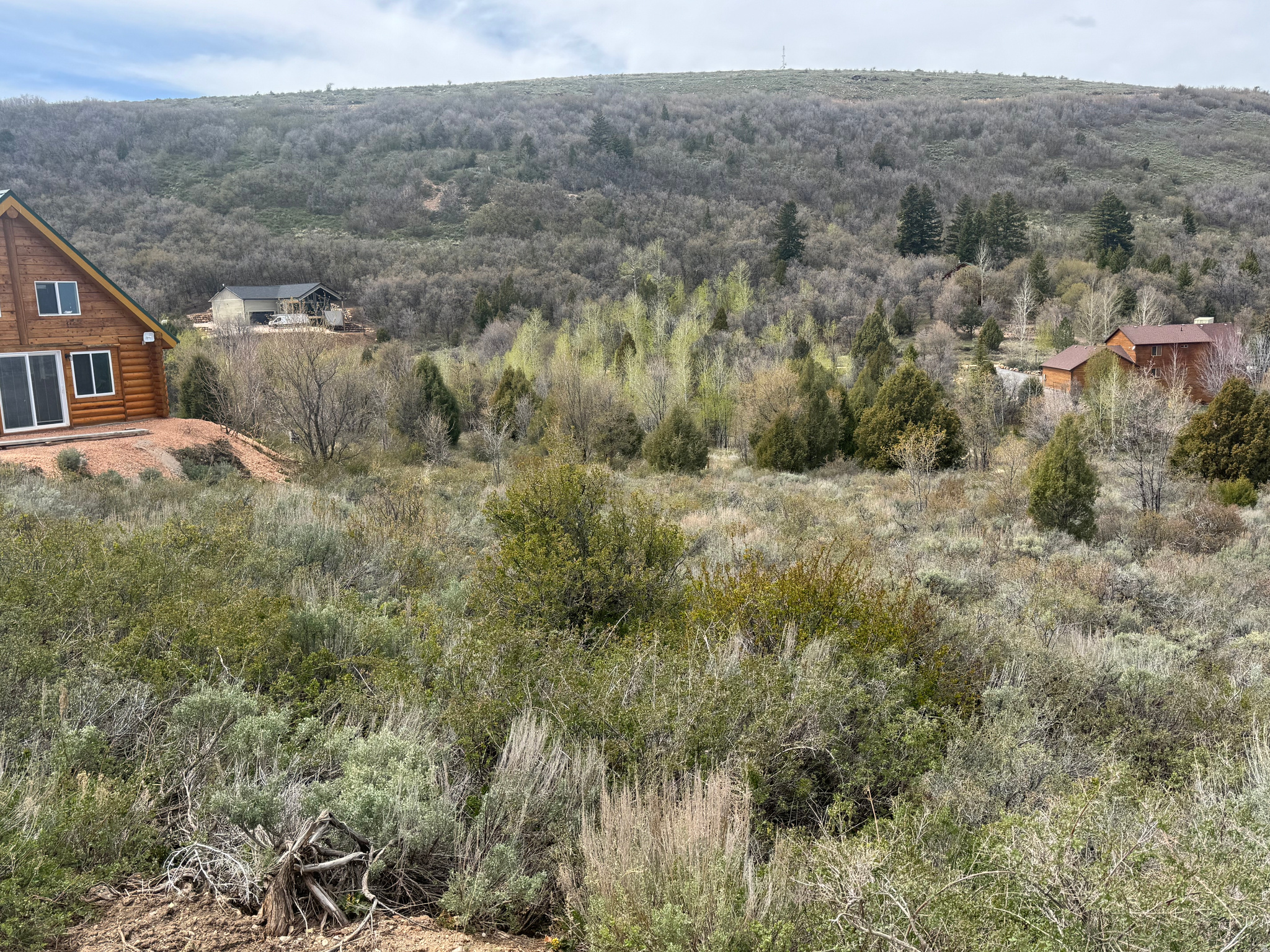 SWANCREEK - Land
