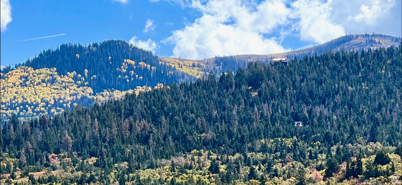 WHISPERING PINES - Land