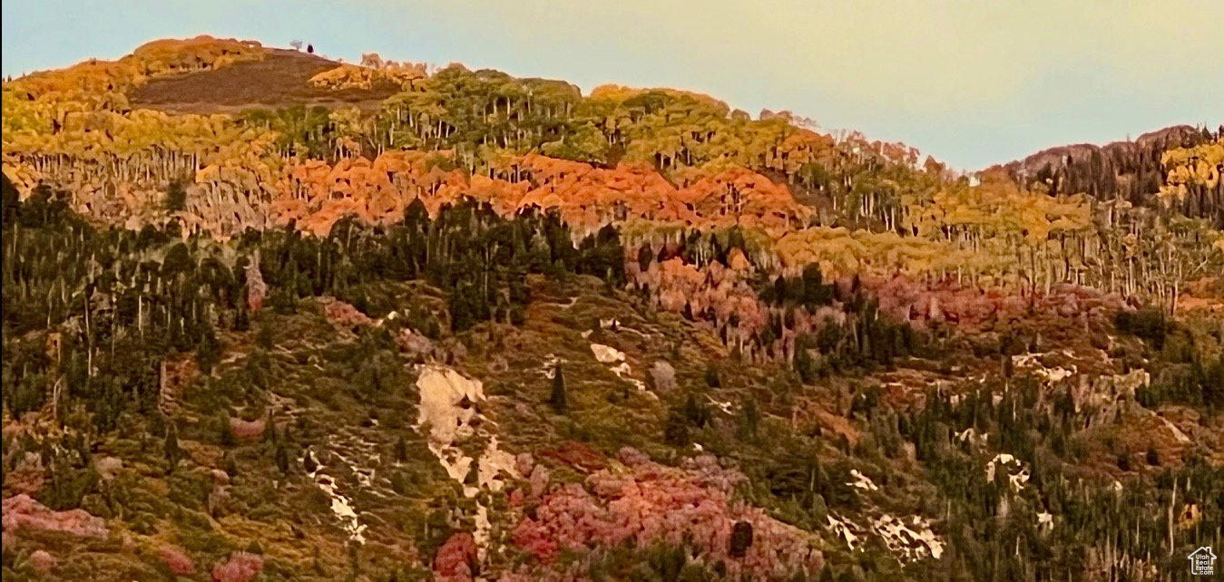 WHISPERING PINES - Land