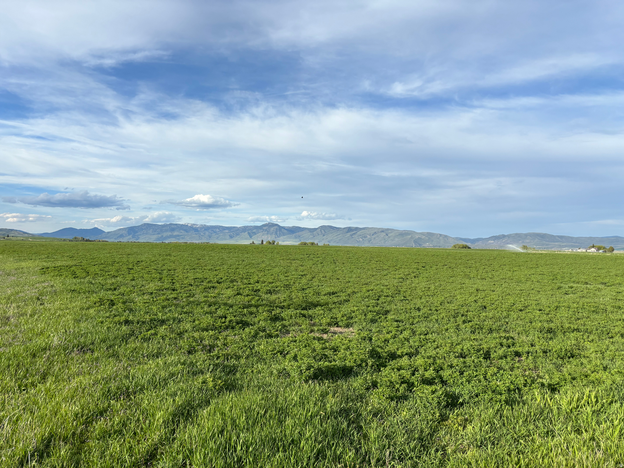 BAER ACRE FARMS - Land