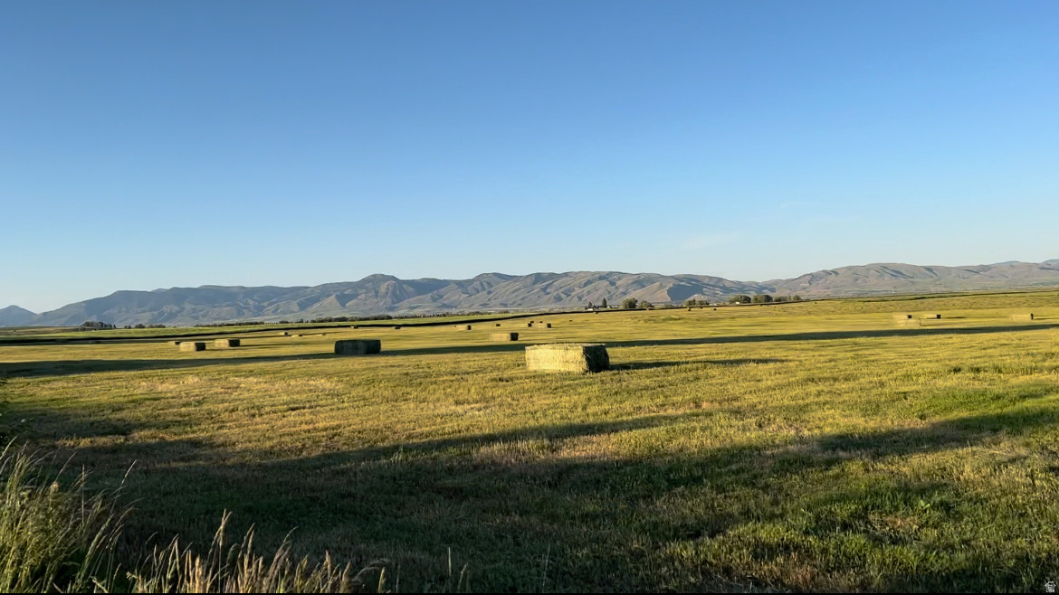 BAER ACRE FARMS - Land