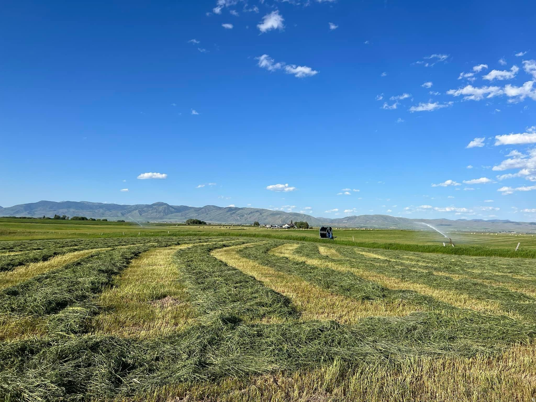 BAER ACRE FARMS - Land