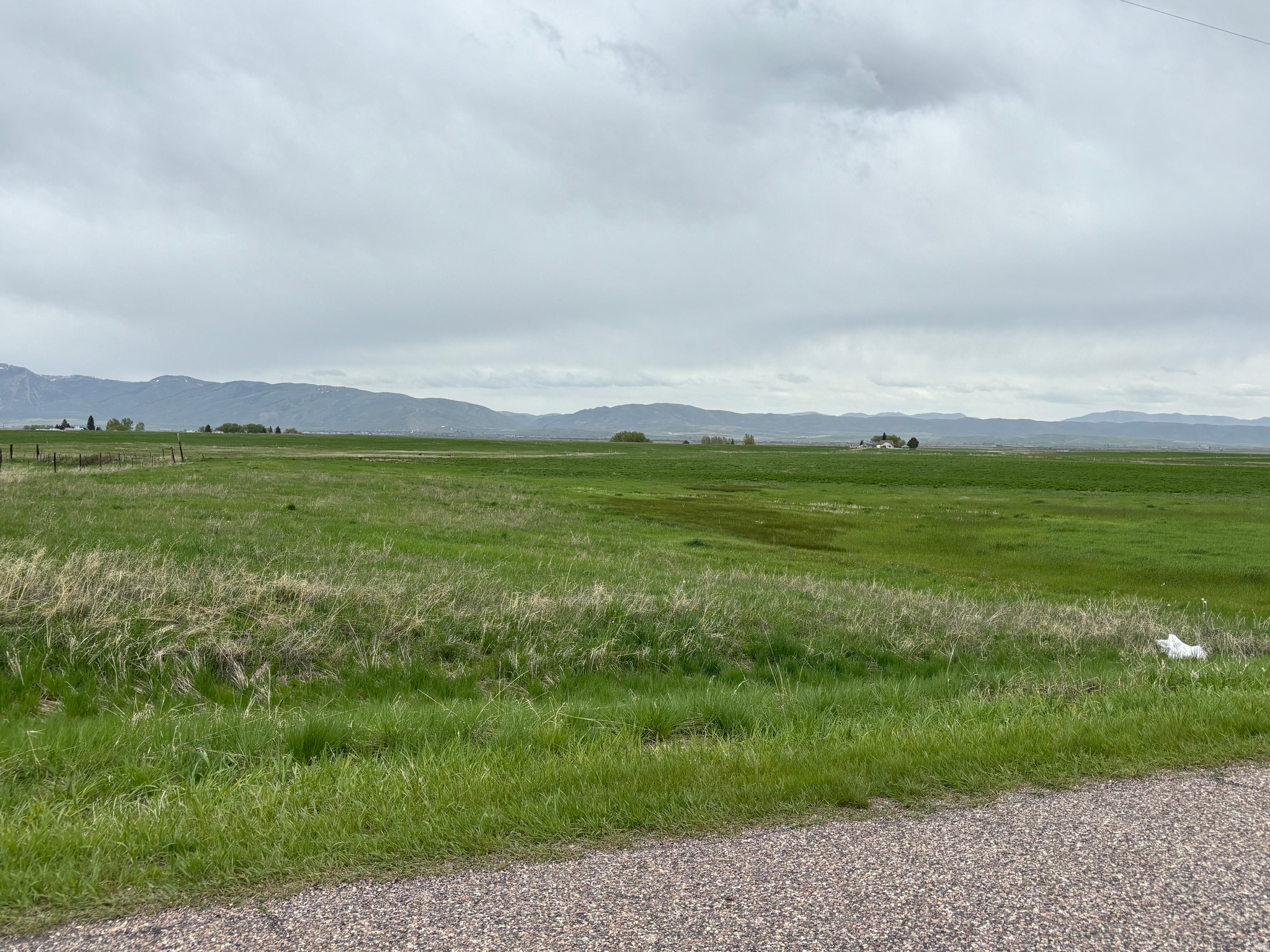 BAER ACRE FARMS - Land