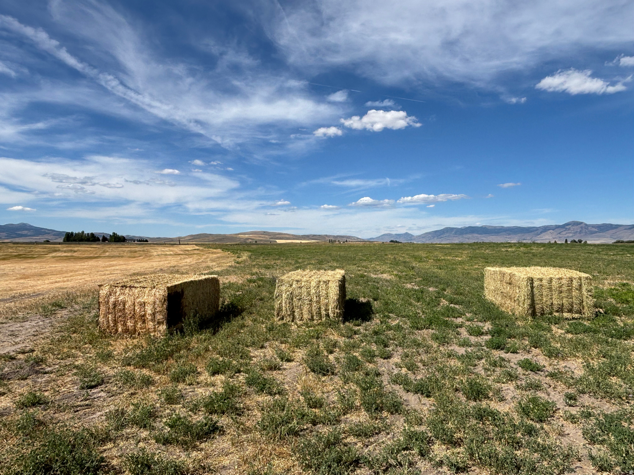 BAER ACRE FARMS - Land
