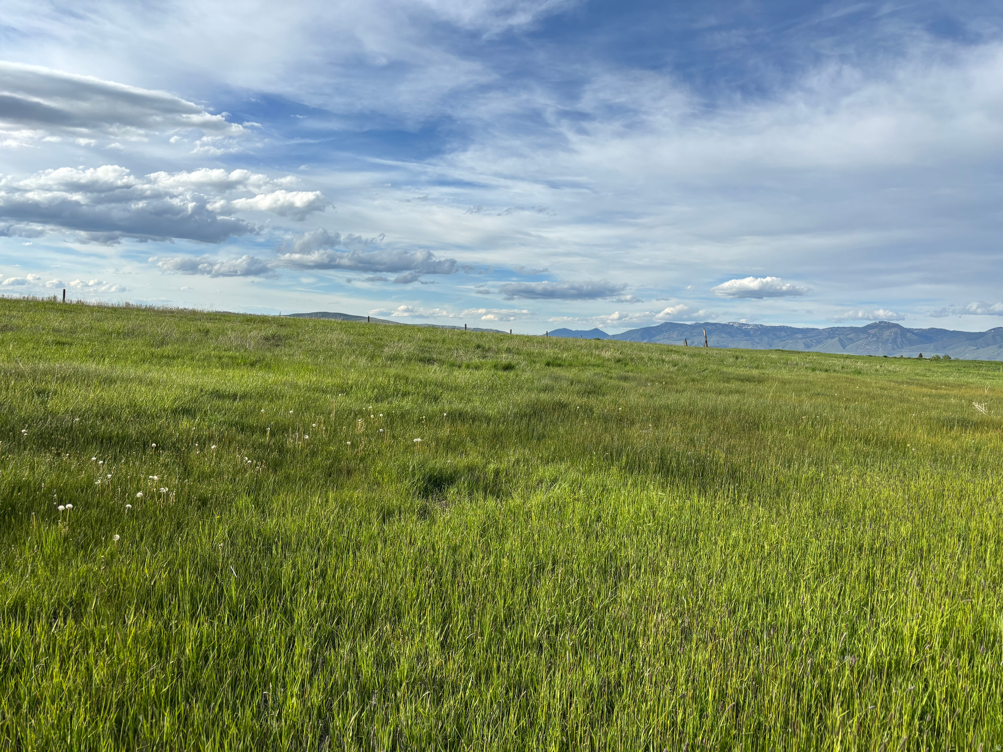 BAER ACRE FARMS - Land