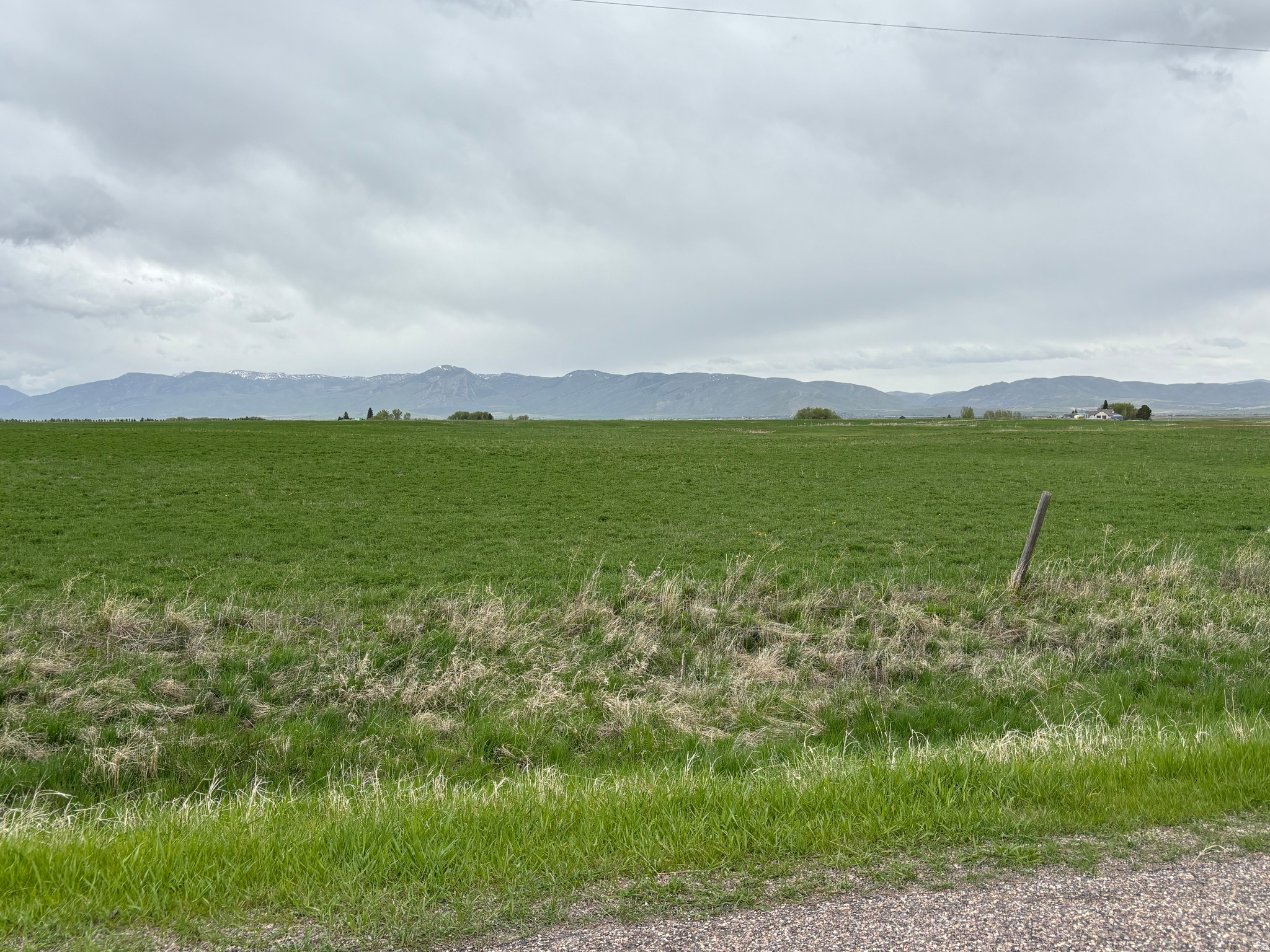 BAER ACRE FARMS - Land