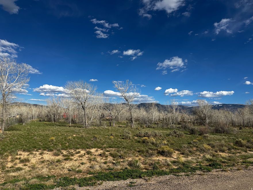 Gorgeous lot in Thorley Ranch! Mature trees and picturesque mountain views!