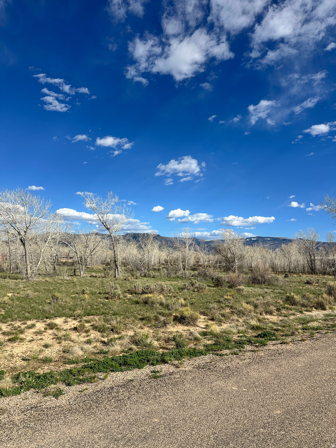 THORLEY RANCH - Land