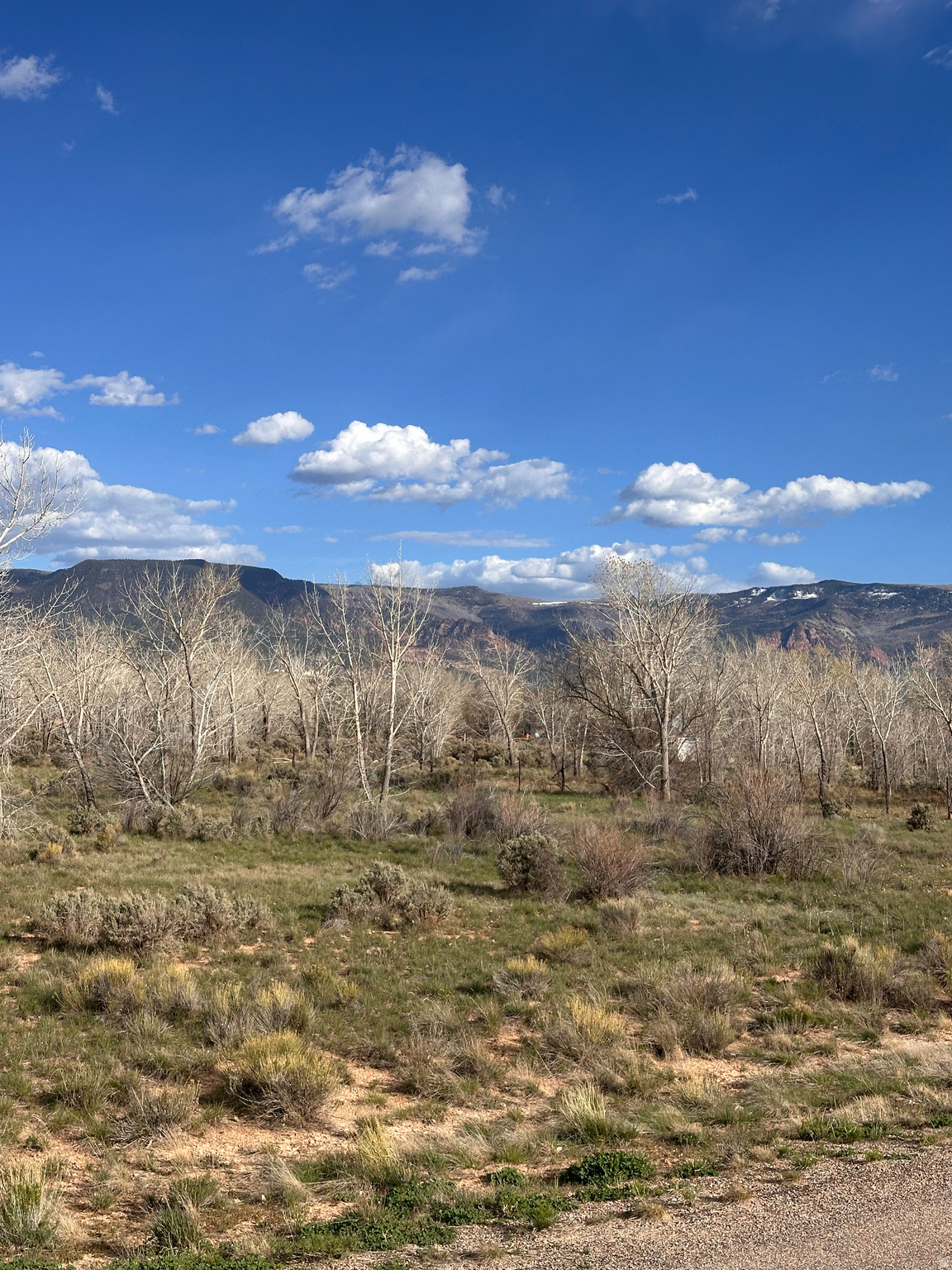THORLEY RANCH - Land