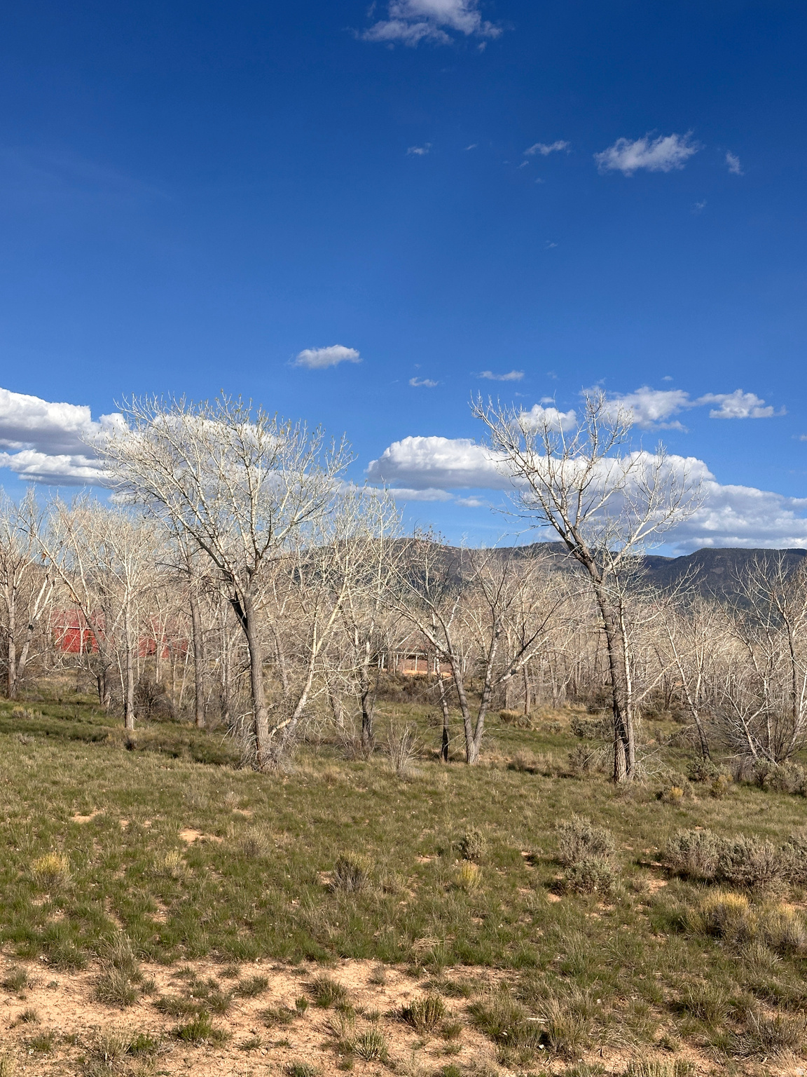 THORLEY RANCH - Land