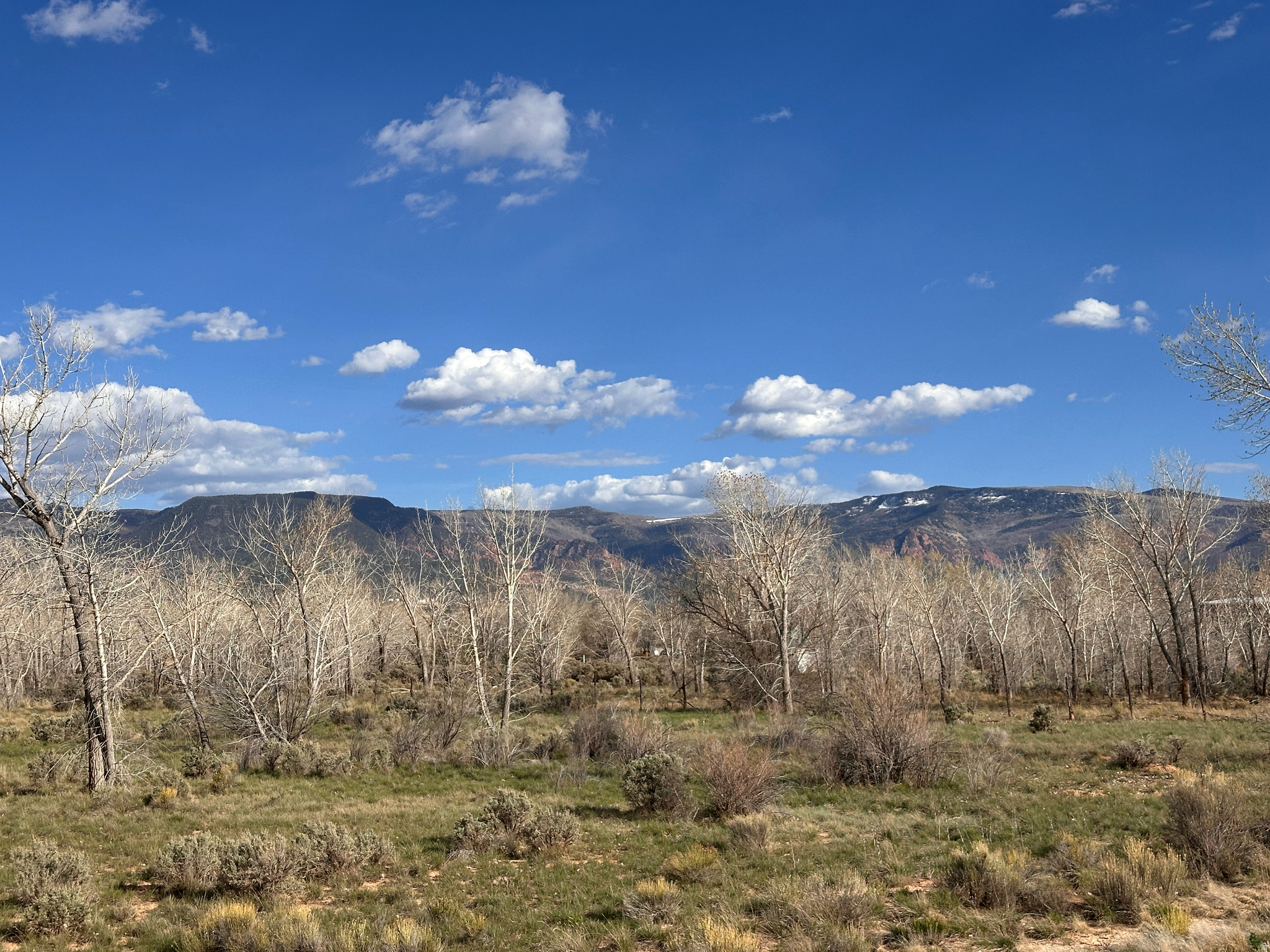 THORLEY RANCH - Land