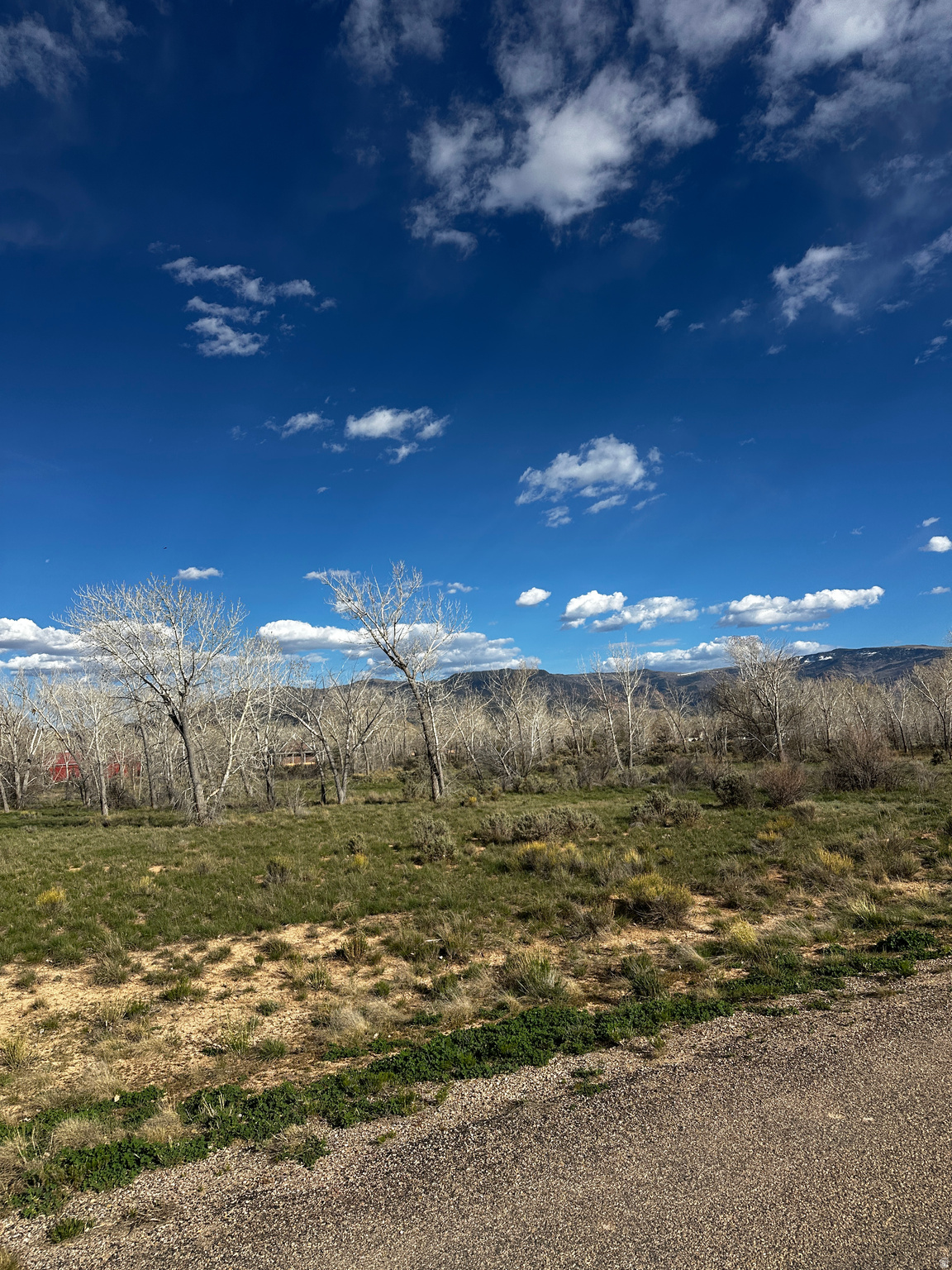 THORLEY RANCH - Land