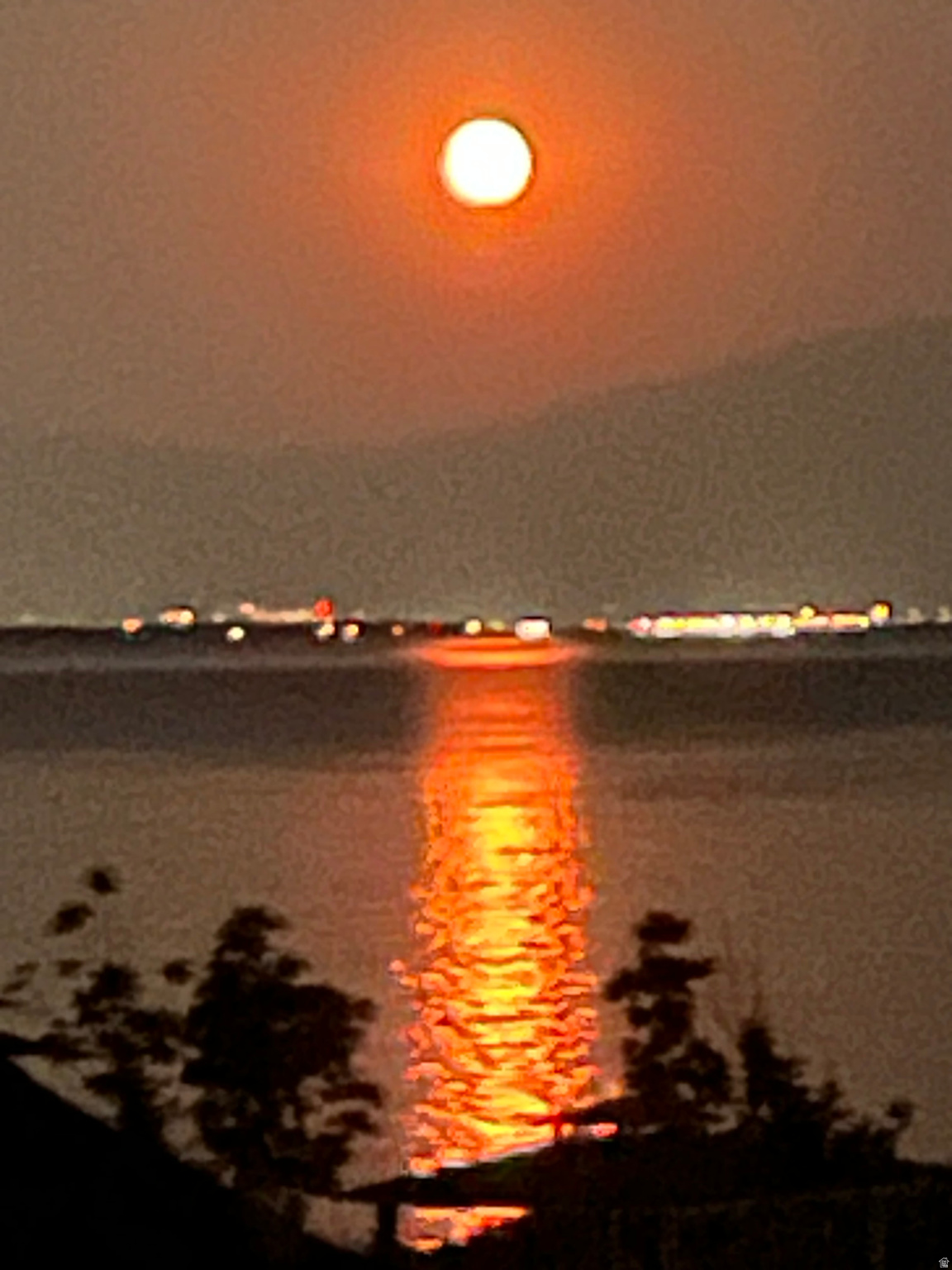 MALLARD BAY - Residential