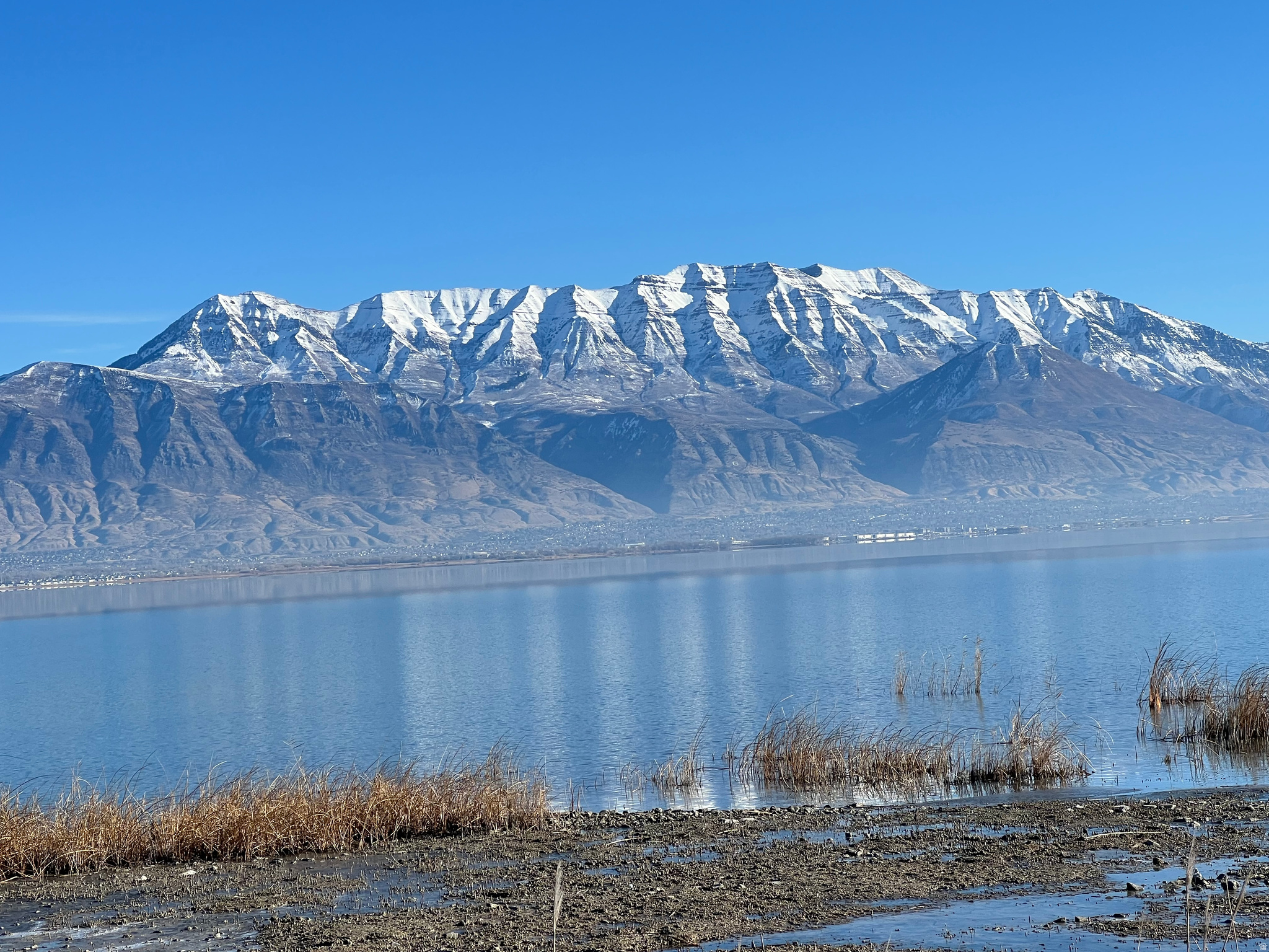 MALLARD BAY - Residential