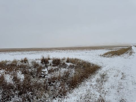 Tiny photo for 17190 W 14400 RD N, Howell, UT 84316 (MLS # 2125841)