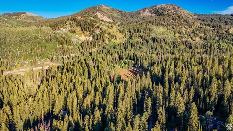 Tiny photo for 12423 E CAMP TUTTLE RD S, Brighton, UT 84121 (MLS # 2109311)