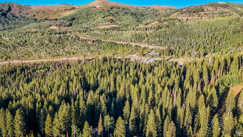 Tiny photo for 12423 E CAMP TUTTLE RD S, Brighton, UT 84121 (MLS # 2109311)