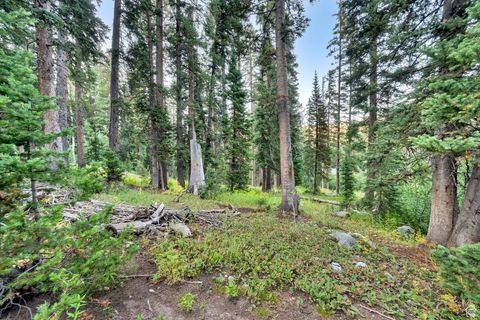 Tiny photo for 12423 E CAMP TUTTLE RD S, Brighton, UT 84121 (MLS # 2109311)