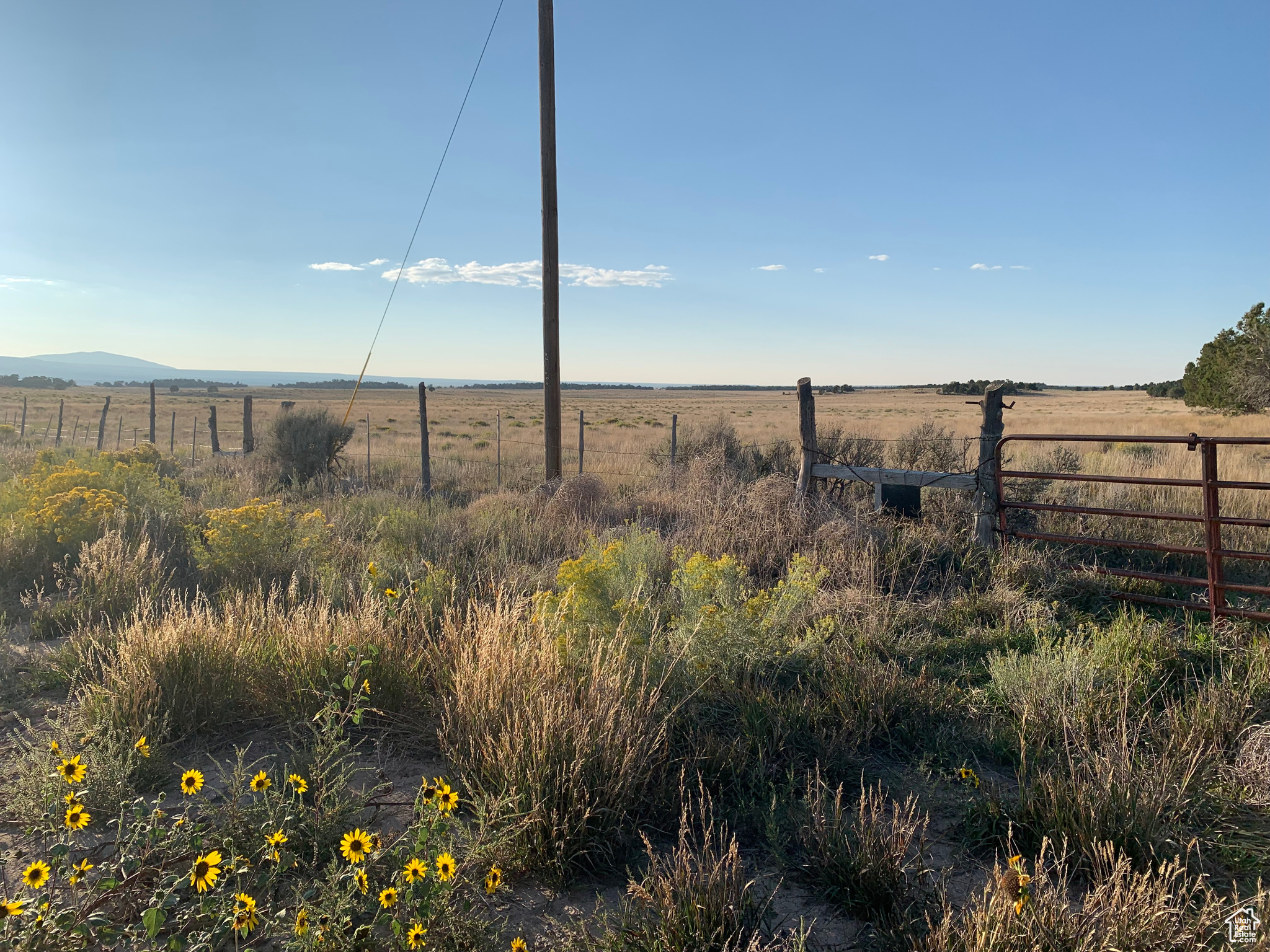 Land, Monticello, Utah image 10