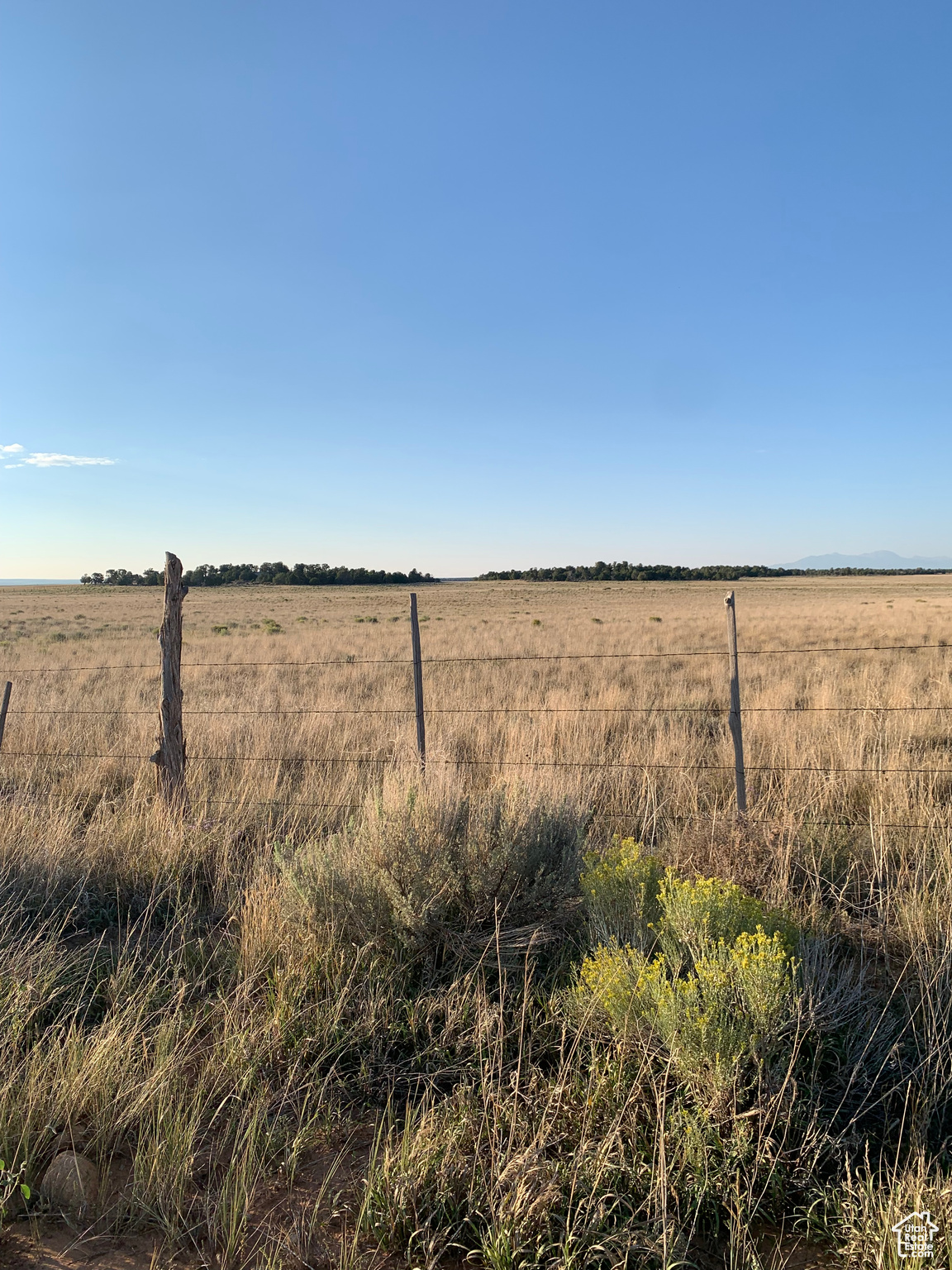 Land, Monticello, Utah image 5