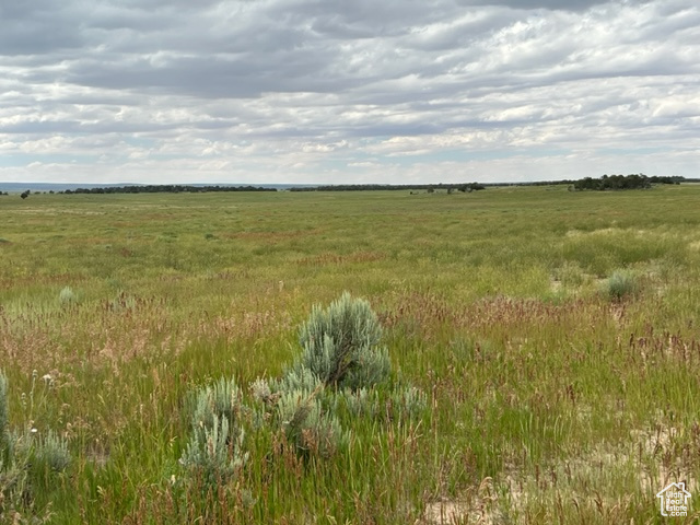 Land, Monticello, Utah image 15