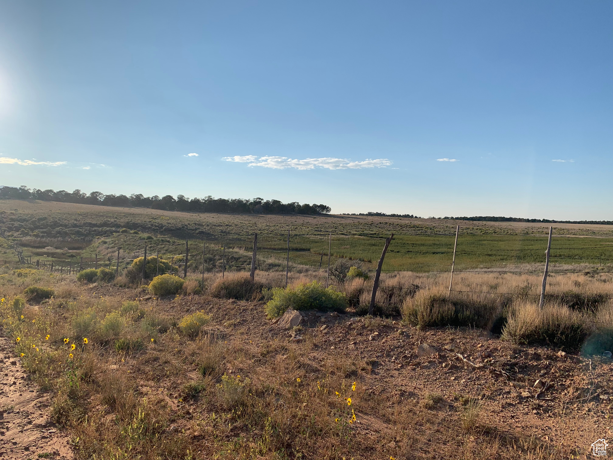 Land, Monticello, Utah image 6