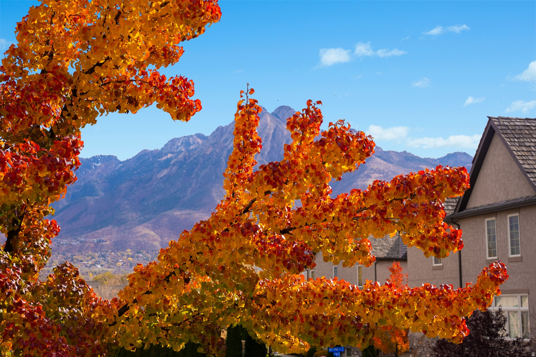 Millcreek, Utah 84117, United States, 3 Bedrooms Bedrooms, ,3 BathroomsBathrooms,Residential,Active,240731