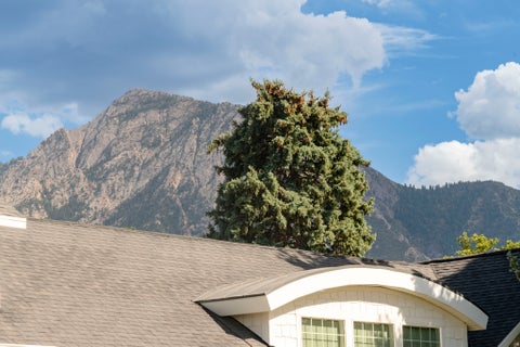 Tiny photo for 3588 S 2500 E, Millcreek, UT 84109 (MLS # 2181648)