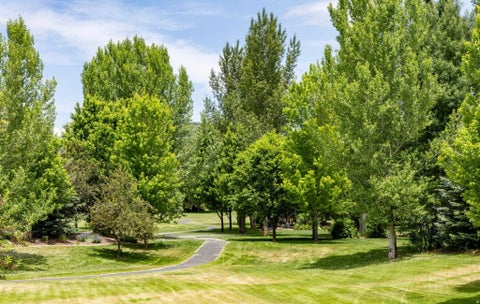 Tiny photo for 520 MISSION DR, Midway, UT 84049 (MLS # 2185312)