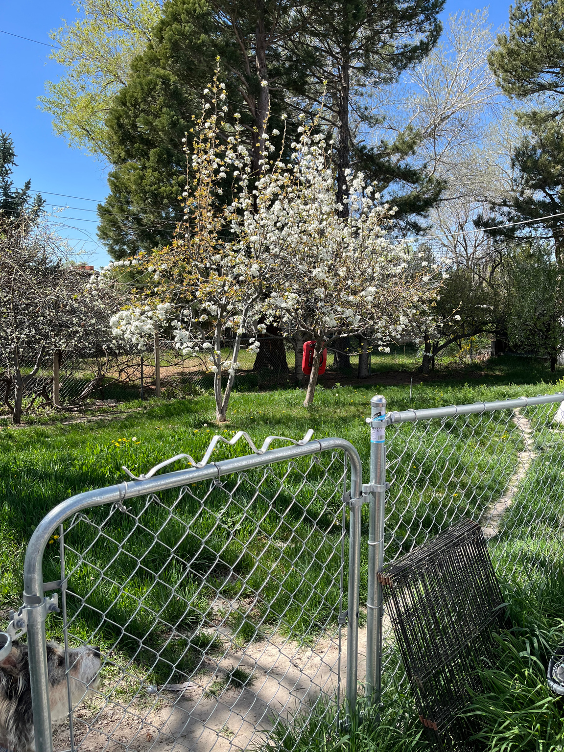 GREEN VALLEY - Residential