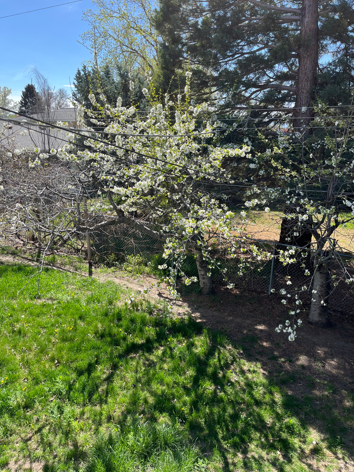 GREEN VALLEY - Residential