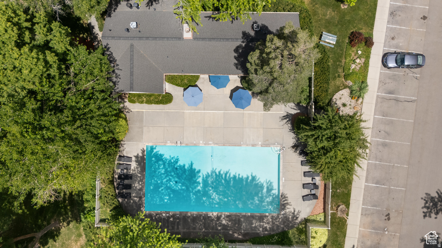 SPRINGTREE - Residential