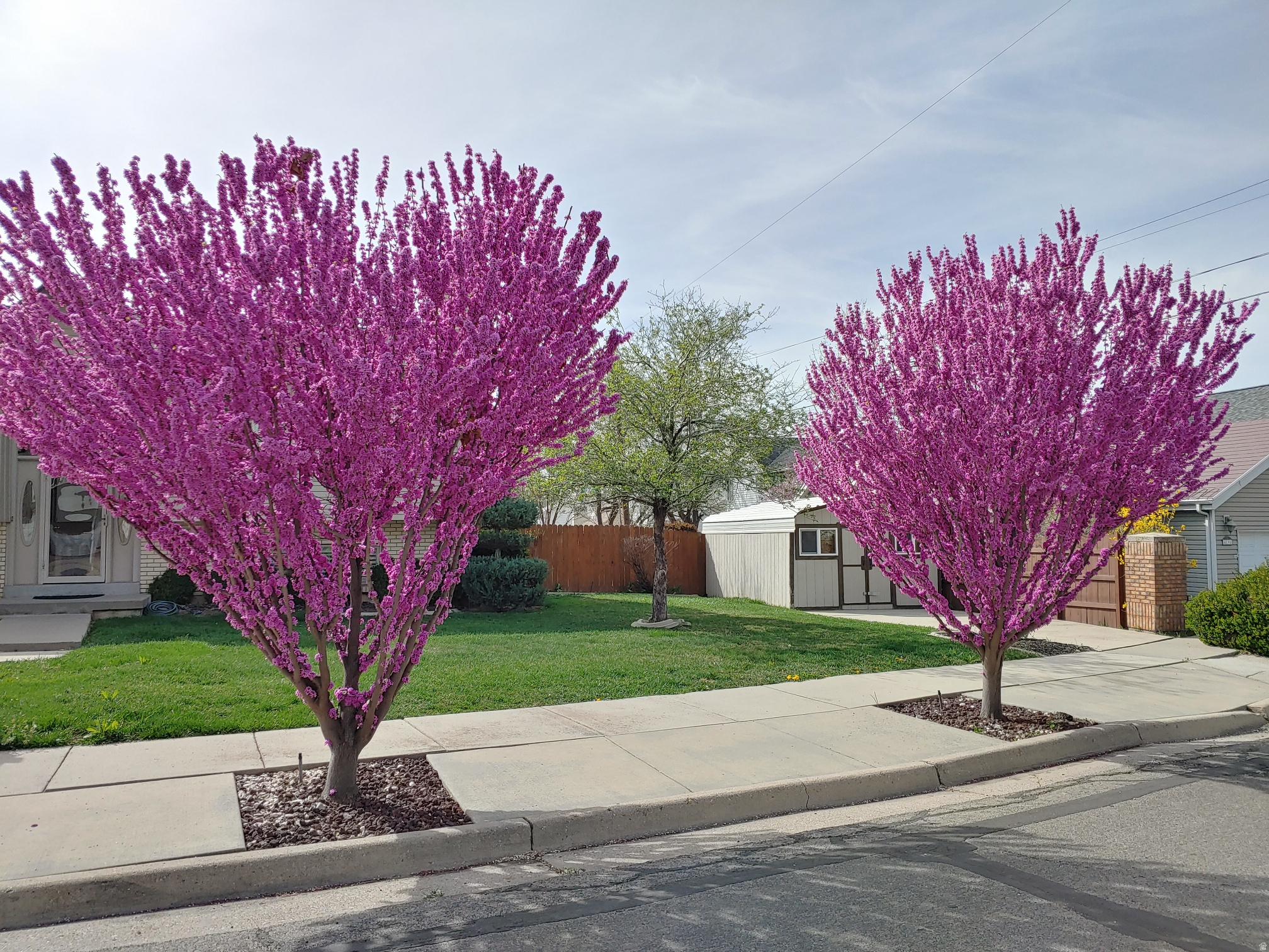 FULLER GARDENS #4 - Residential