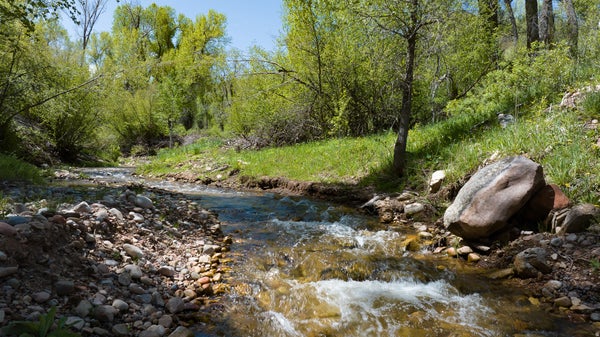 5155 W CANYON DR, MORGAN, UT 84050 - Image 377b030d0d8312befa9c8f8e6aae7375/1058477166
