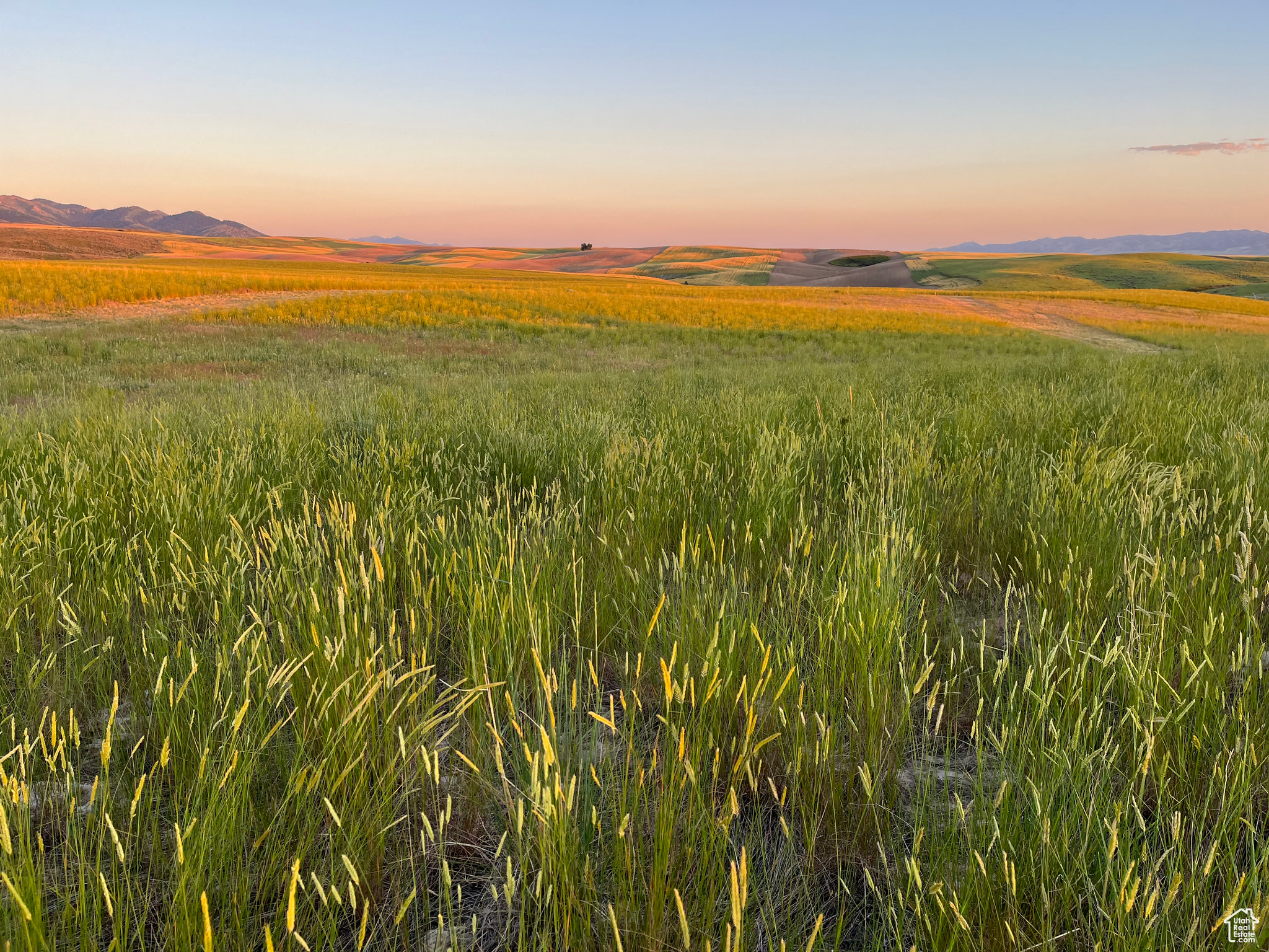 #2, American Falls, Idaho image 47