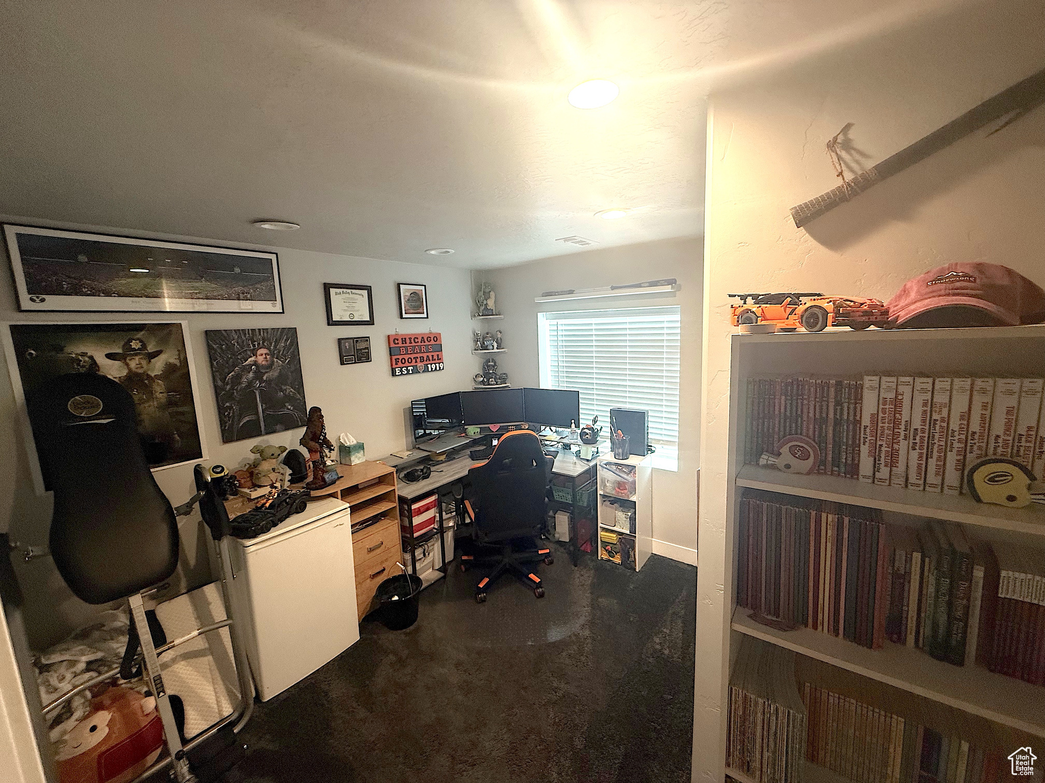 WESTERN SPRINGS - Residential