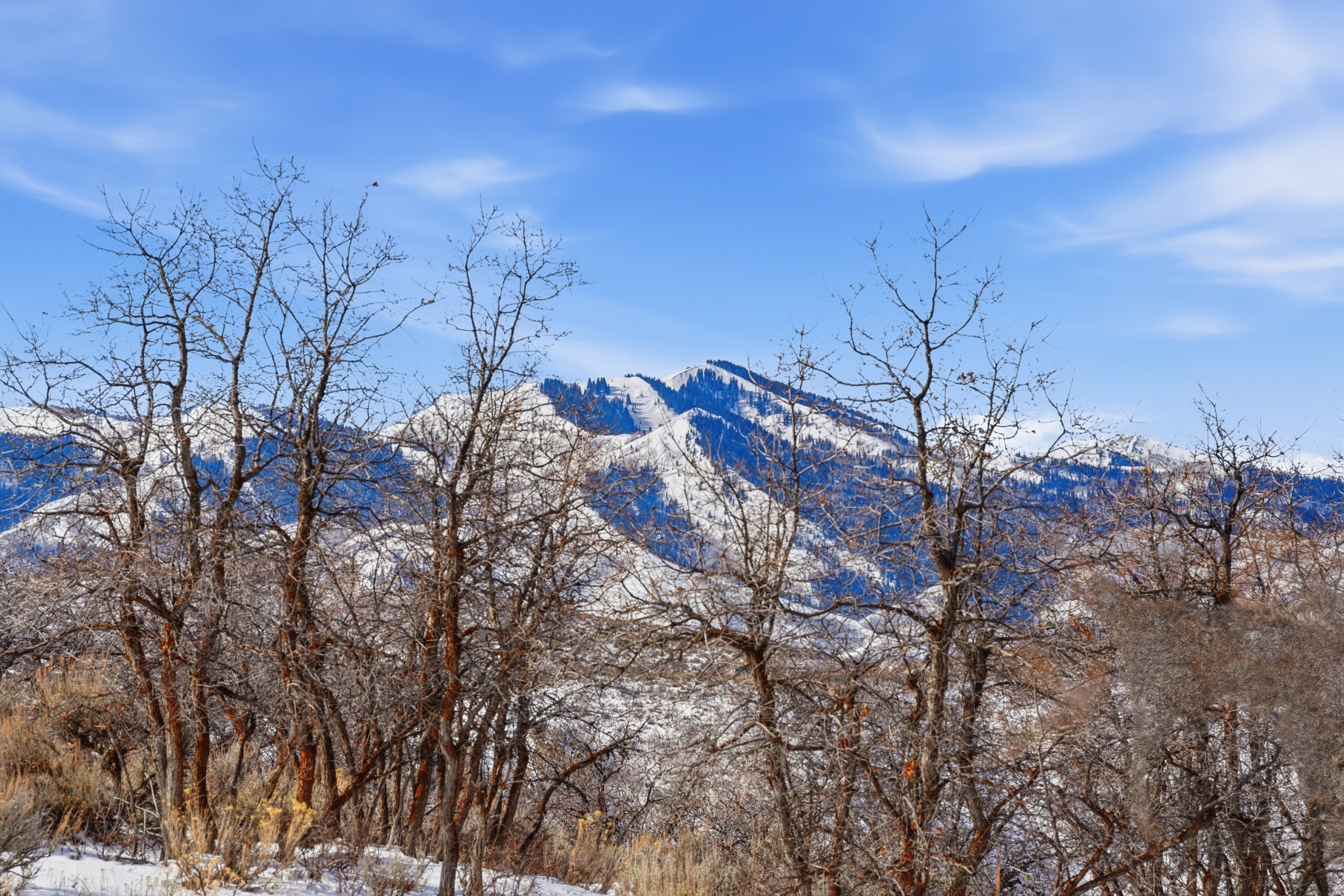 NORTHGATE CANYON SUBDIVISION - Land