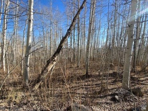 2307 S ASPEN RIDGE DR G-9