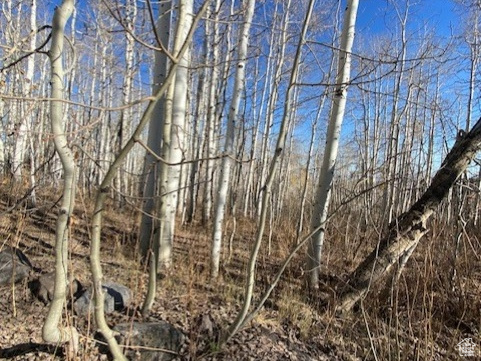 2307 S ASPEN RIDGE DR G-9