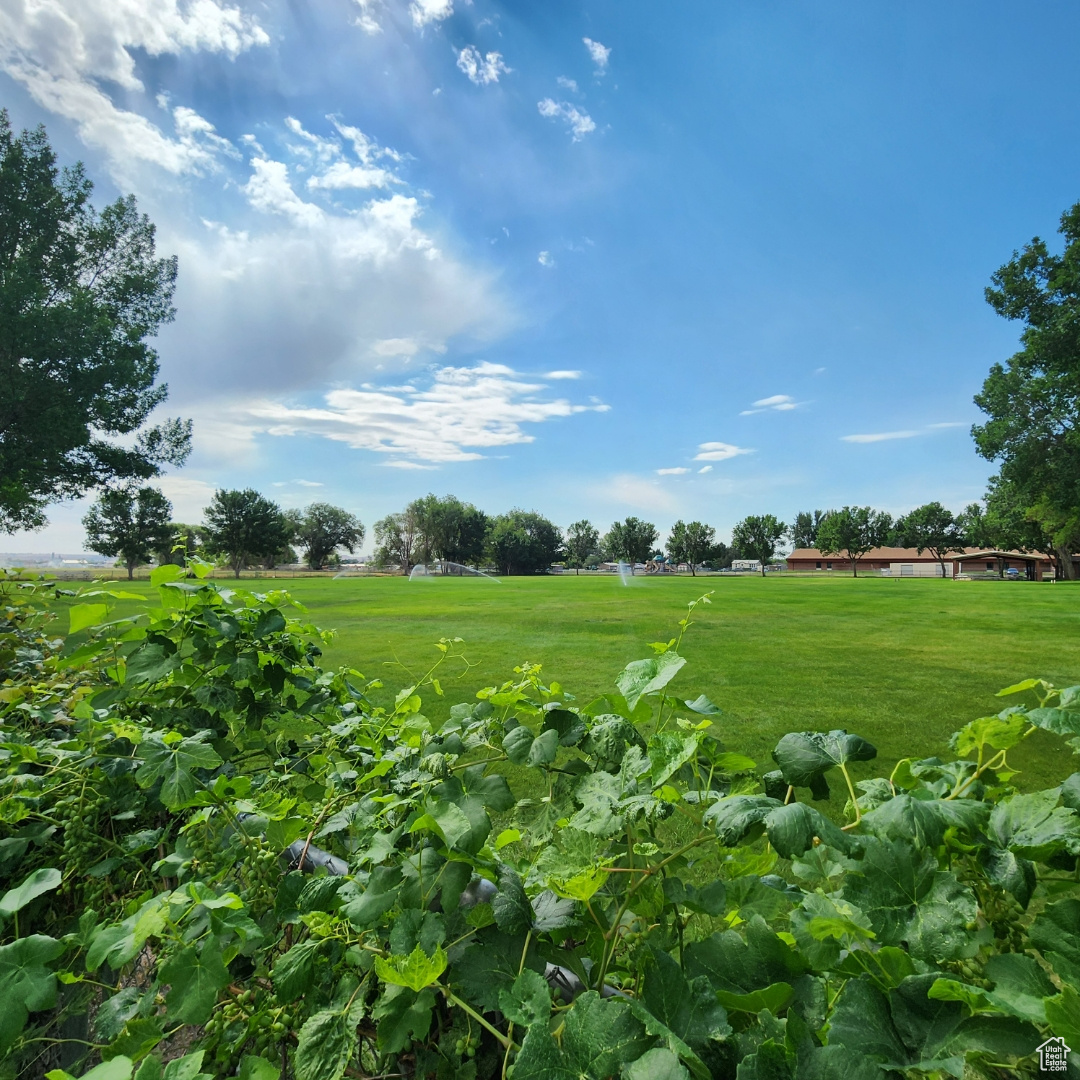 LIBERTY ESTATES - Residential
