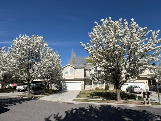 RUSH VALLEY - Residential